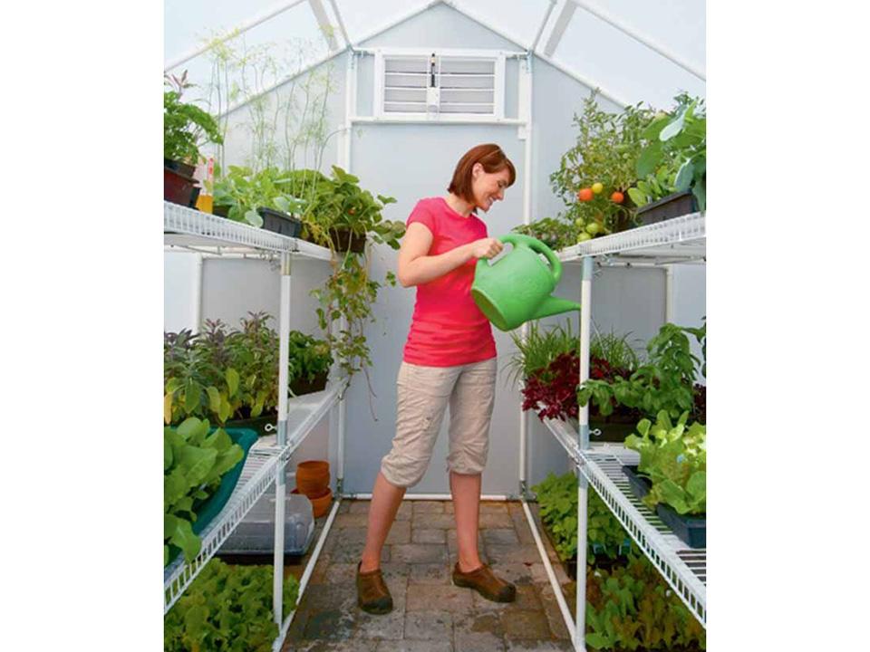 Solexx 8ft x 12ft Garden Master Greenhouse G-512