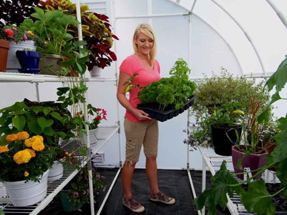 Solexx  8ft x 24ft Harvester Greenhouse G-424