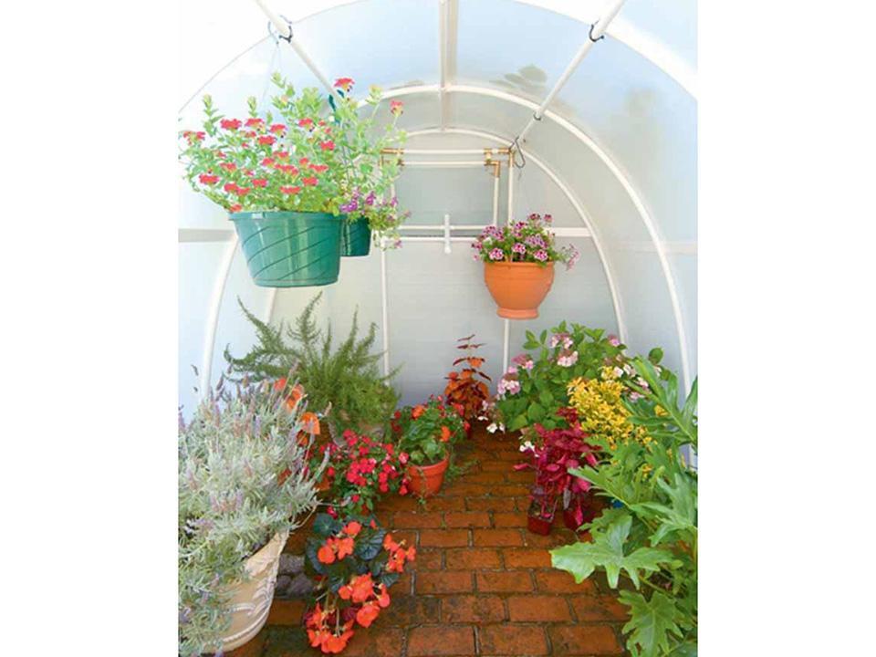 Solexx  8ft x 8ft Early Bloomer Greenhouse: G108