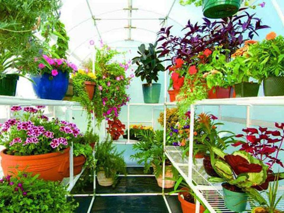 Solexx Greenhouse Shelf Racks