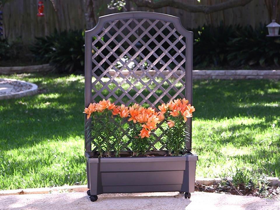 Calypso Planter with Trellis and Reservoir