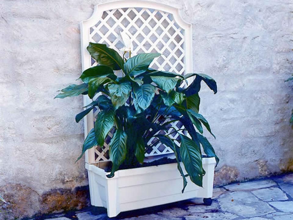 Calypso Planter with Trellis and Reservoir