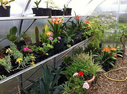 Hoklartherm Riga XL 6 Greenhouse 14x19