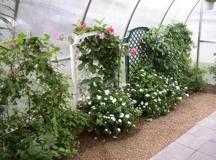Hoklartherm Riga XL 6 Greenhouse 14x19