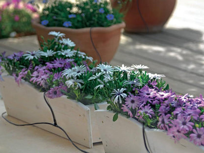 Riverstone MONT Greenhouse 8x20 - Growers Edition