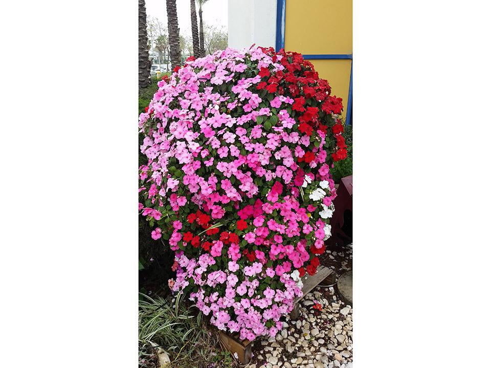 RSI Plant Tower
