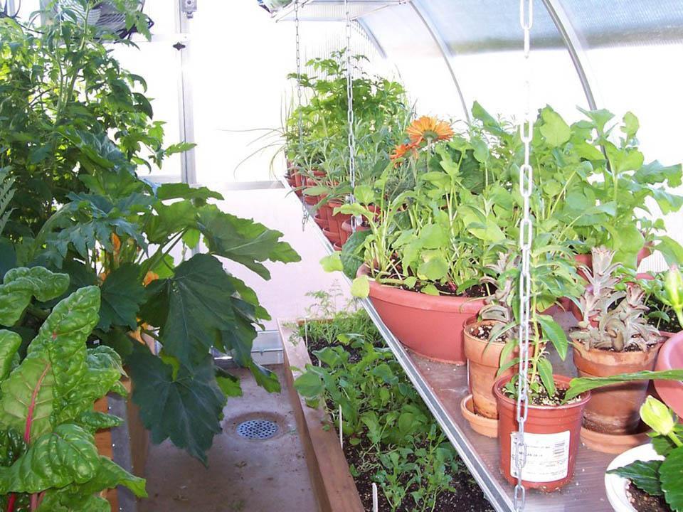 Hoklartherm Riga 4s Greenhouse 8ft x 14ft