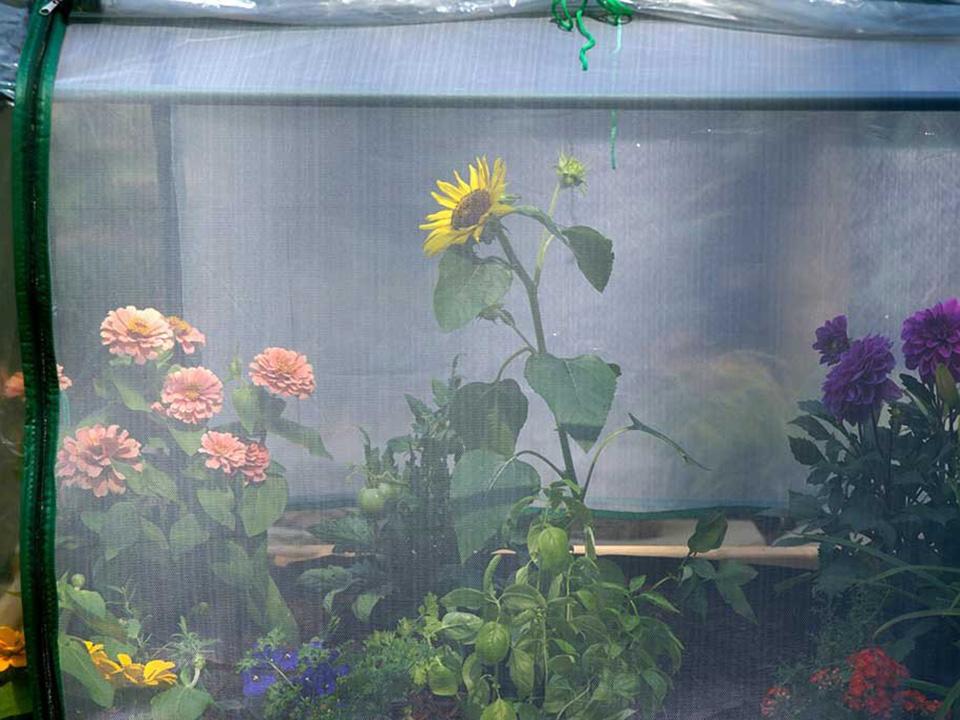 Riverstone Eden Garden Bed (Miniature Greenhouse)