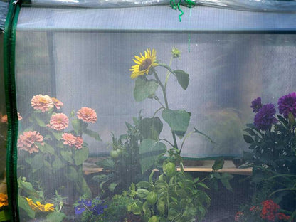 Riverstone Eden Garden Bed (Miniature Greenhouse)