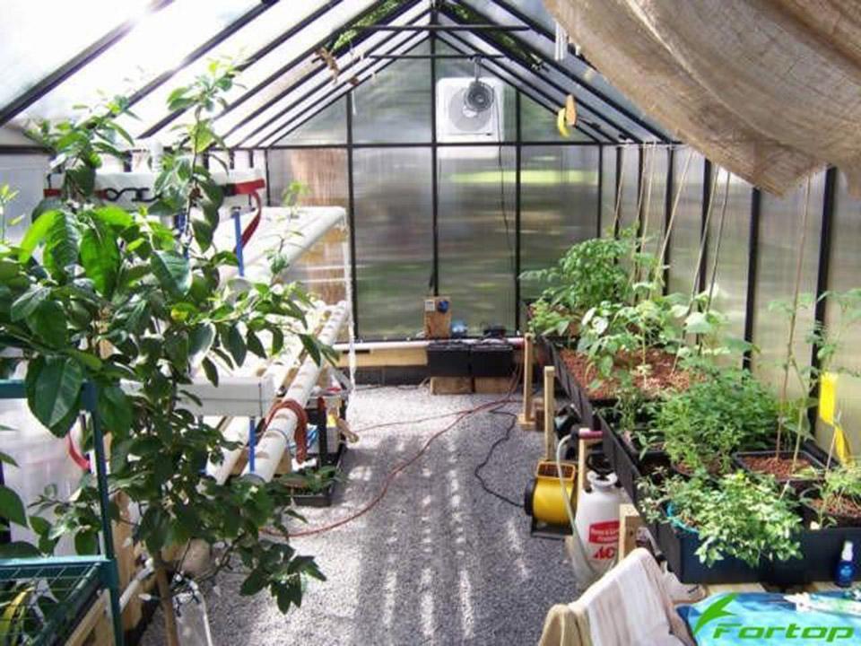Riverstone MONT Greenhouse 8x16