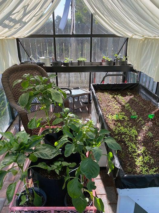 Exaco Janssens Junior Victorian J-VIC 25 Greenhouse 8ft x 15ft