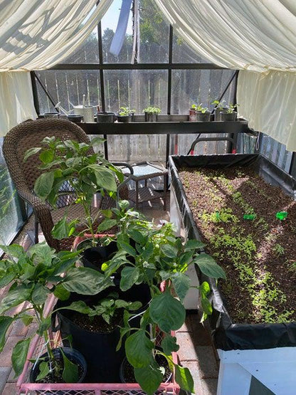 Exaco Janssens Junior Victorian J-VIC 24 Greenhouse 8ft x 13ft