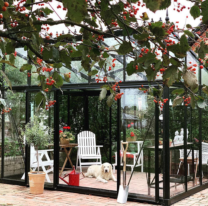 Exaco Janssens Modern M34 Greenhouse 10ft x 15ft
