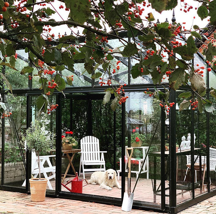 Exaco Janssens Modern M36 Greenhouse 10ft x 20ft