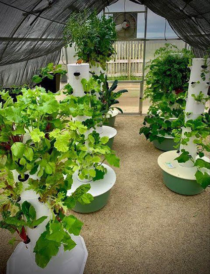 Hoklartherm Riga XL 6 Greenhouse 14x19